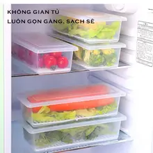 Combo 3 hộp đựng thực phẩm có khay hứng thoát nước, hộp lưu trữ thức ăn nhựa trắng trong suốt an toàn sức khoẻ(Mã-6586)