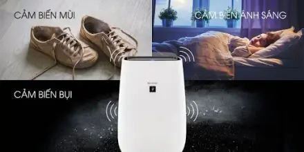 Đánh giá máy lọc không khí Sharp FP-J40E-W: Có đáng tiền cho phòng 30m²?