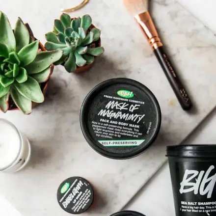 Review mặt nạ tươi Lush Magnaminty: 'cứu tinh' cho da dầu mụn