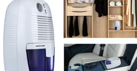 Máy hút ẩm mini có tốt không? Ưu điểm và lý do nên mua