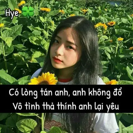 [Tuyển tập] 100+ Câu thơ thả thính hay nhất: Thả là dính!