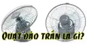 Quạt đảo trần là gì? Top 5 mẫu quạt đảo trần tốt nhất